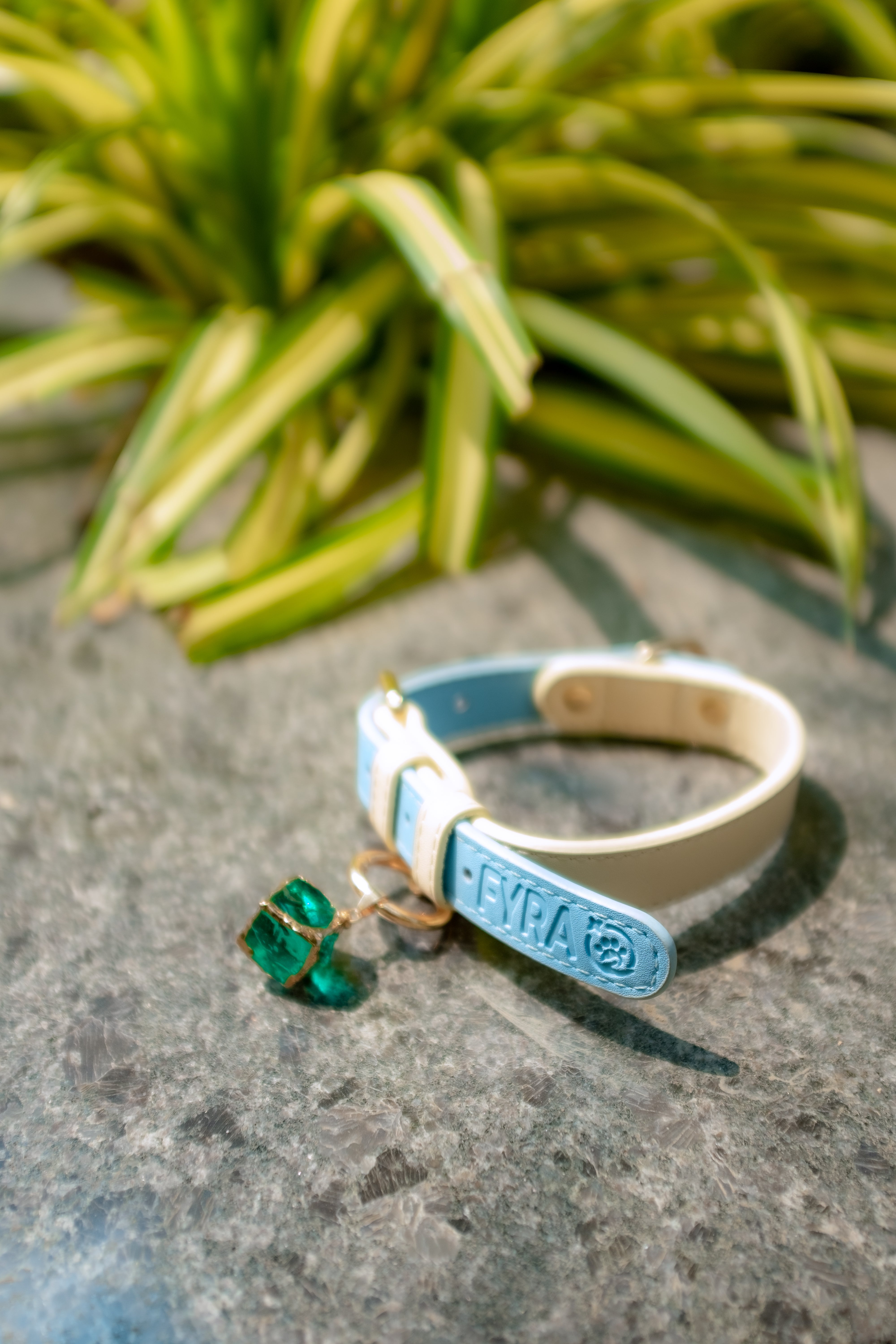 Fyra Paws Healing Collar: Emerald